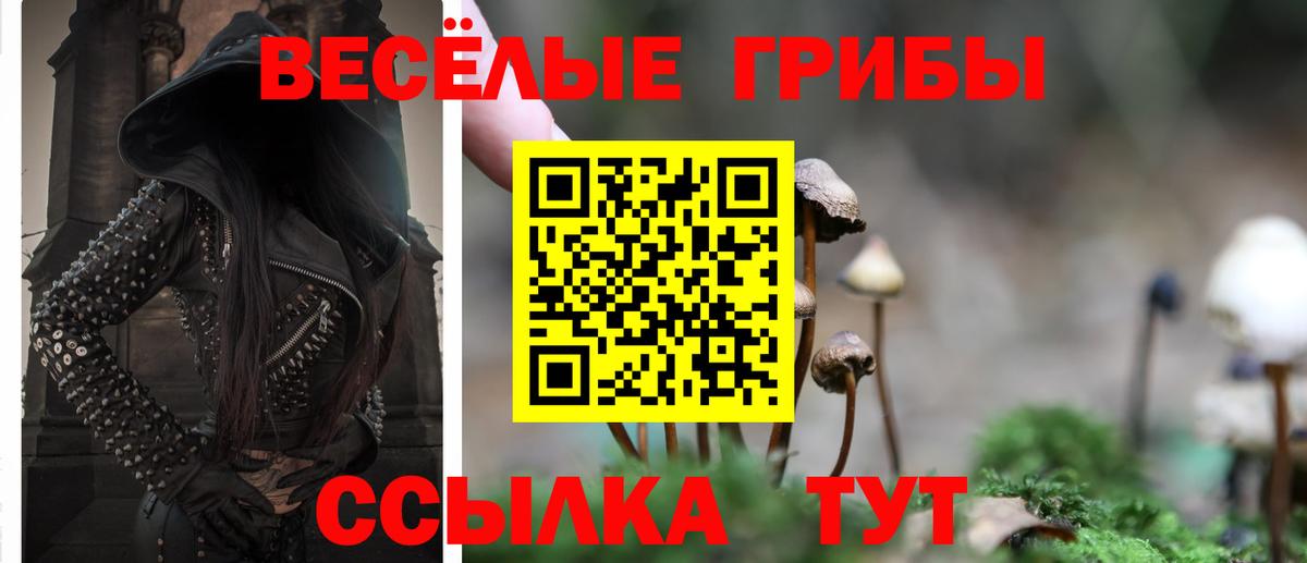 Псилоцибиновые грибы прущие грибы  Псилоцибиновые грибы Psilocybine cubensis  сколько стоит  Вход с VPN  Белая Калитва 